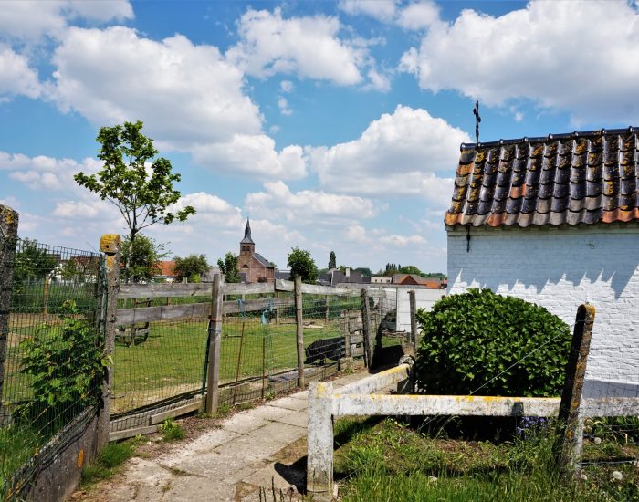 Taxi en luchthavenvervoer Woubrechtegem Herzele